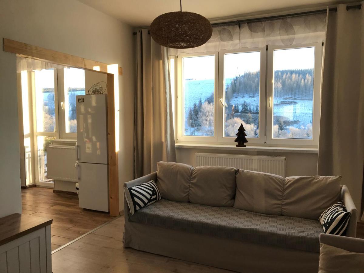 Apartman Orlicke Zahori 외부 사진