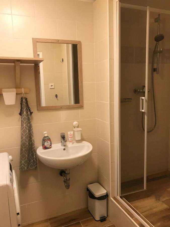 Apartman Orlicke Zahori 외부 사진