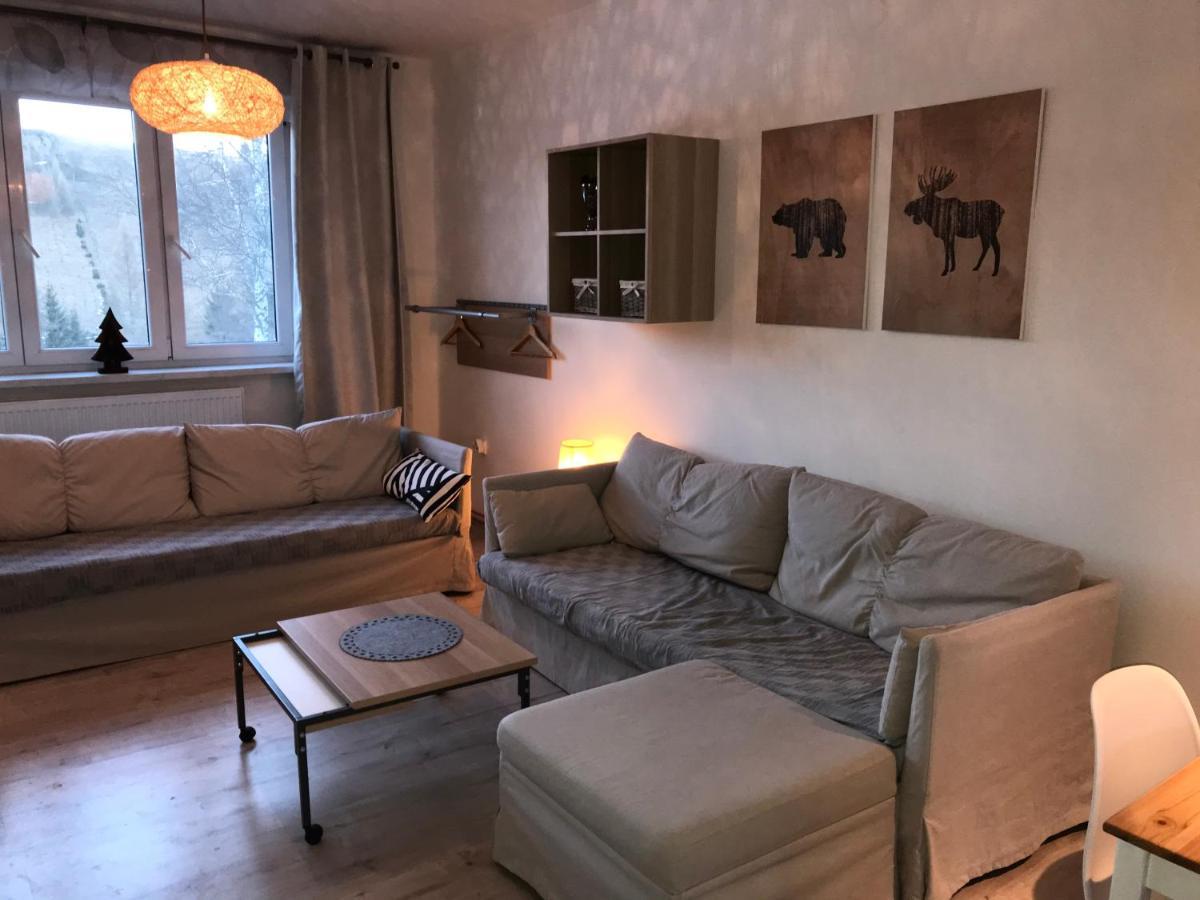 Apartman Orlicke Zahori 외부 사진